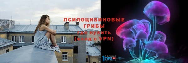 шишки Володарск