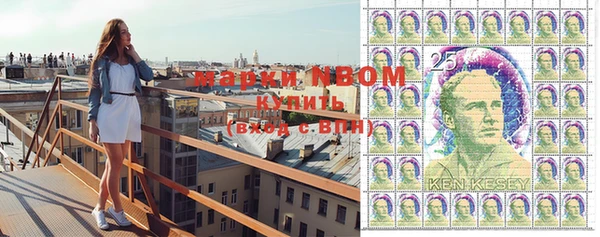 шишки Володарск