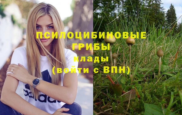 шишки Володарск