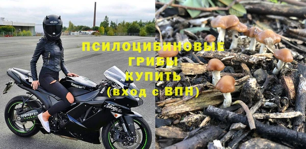 шишки Володарск